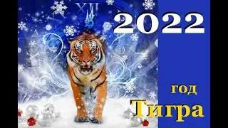 Шуточный гороскоп на 2022 год по знакам зодиака