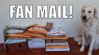 Youtube Mail Day! Opening Taco Stacks PO Box Mail and Packages!