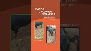 PISO SUSTENTÁVEL