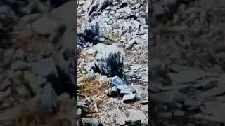 чуть не погиб в обрыв 🤰🧑‍🚒🕴️
