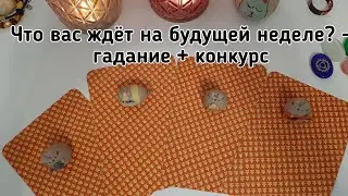 Выбери кота 🐈‍⬛ ЧТО ВАС ЖДЁТ НА БУДУЩЕЙ НЕДЕЛЕ? 🐈 ГАДАНИЕ