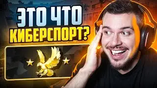 ЧТО ТВОРИТСЯ НА БЕРКУТАХ В НАПАРНИКАХ CS2?