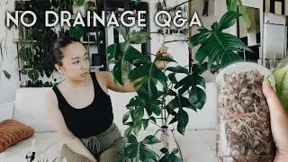 growing 300+ plants without drainage holes / no drainage q&a!