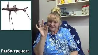 Интересные Рыба тренога  Колибри Черепаховский жук