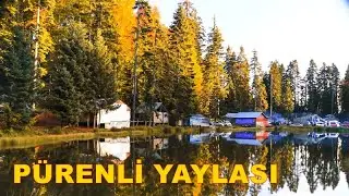 PÜRENLİ YAYLASI