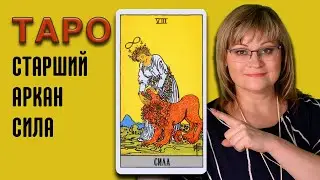 СИЛА  | Значения Старших арканов ТАРО | ТАРО для начинающих