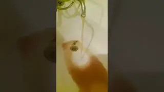 Ура! Дали воду.