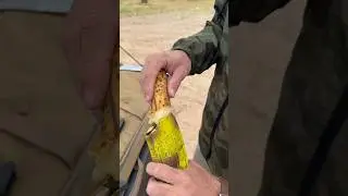 XtechTactical mags are top tier 