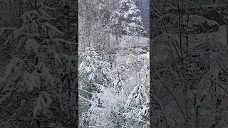 Вот такая у нас весна.А у вас какая?)