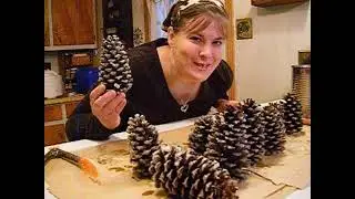 How to make pine cone air fresheners