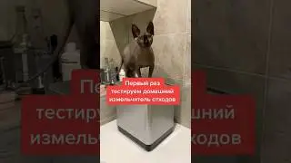 Тест змельчителя органических отходов. Подпишись! #жизнь #россия #экология #новости #природа