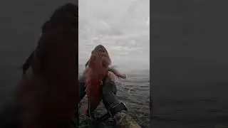 Spearfisherman IMPALED by a VENOMOUS FISH
