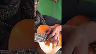 mini concert of the best acoustic guitar on youtube