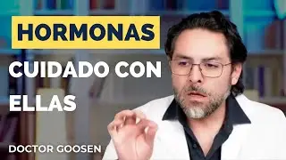 La menopausia, la regla, la dieta y tu Equilibrio Hormonal