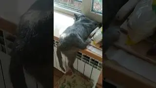 Ну как,так можно спать?