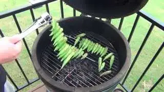 Grilled Okra on the Big Green Egg