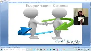 координация по бизнесу