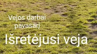 Išretėjusi veja/pavasario darbai/Negerai sudygusi veja/žolė