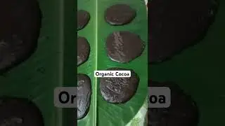 ORGANIC PURE COCOA #organiccocoa #cocoa #philippinescocoa #shortvideo  #tablia #chocolate #purecocoa