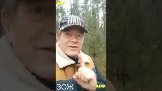 13 ноября 2023 г.