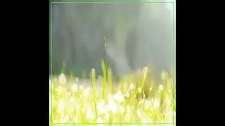 [K-POP TROT]_박치용 - 사랑해서 좋은 날_ATOENT