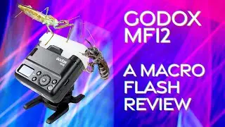 Godox MF12 Macro Flash Review - The best flash for macro work!