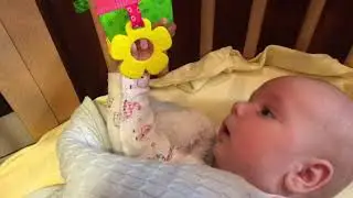 Скачок Развития