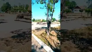 Бывший пионерский лагерь "ВОЛНА".  Южный берег Иссык-Куля.