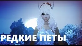 ЖИЗНЬ на PW136: НОВЫЙ ЕЗДОВОЙ ПЕТ, РЕДКИЕ ПИТОМЦЫ в Perfect world