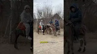Обзор АЙЫЛА Кара-Суу в Кыргызстане 🇰🇬 