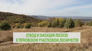 Отвод и таксация лесосек
