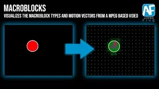 Macroblocks: Verify the Encoded Data of a MPEG Video in Amped FIVE