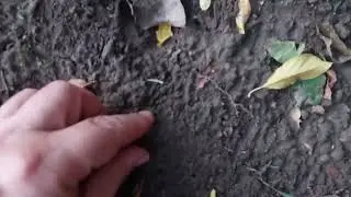 Deus 2 прога "Мудосливки".😃😃😃