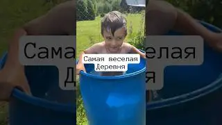 Обычный день в Норкино