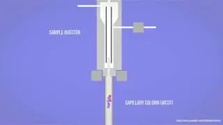 GC - Gas Chromatography - How Samples Move Through Capillary Column Animation HD