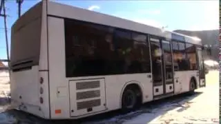 Новые городские автобусы на улицах Невельска