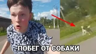 ЛЮТЫЙ ПОБЕГ ОТ СОБАКИ | Я ЕЛЕ УБЕЖАЛ ОТ НЕЁ