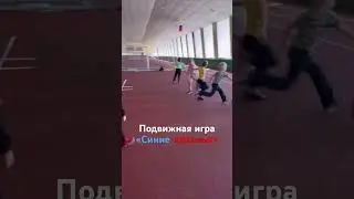 Подвижная игра «Синие красные»