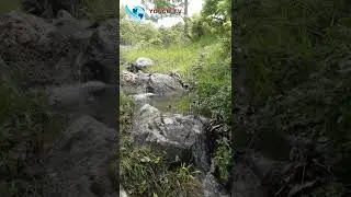 Çağırayım Mevlam Seni