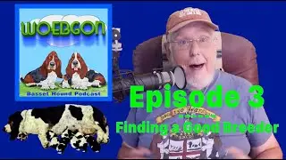 Finding a Good Breeder Woebgon the Basset Hound Podcast Episode 3