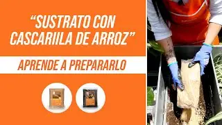 ¡Aprende a preparar el mejor sustrato para tus plantas con cascarilla de arroz y tierra abonada!