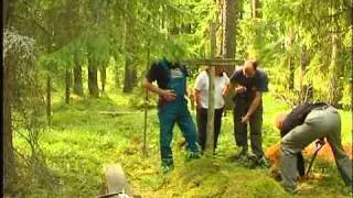 Metsavennad voodi ees
