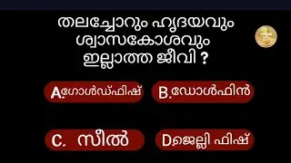43.വെറൈറ്റി ചോദ്യങ്ങളും ഉത്തരങ്ങളും