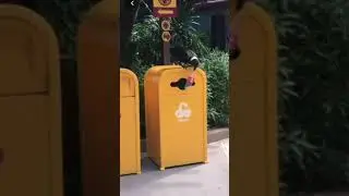 🤣🤣🤣Смешные видео 2021 😁новинки 2021
