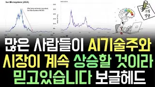 많은 투자자들이, AI 기술주와 시장이 멈추지 않고 계속 상승할 것이라고 믿고 있습니다ㅣ보글헤드