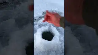 Забайкальская щука на жерлицу 