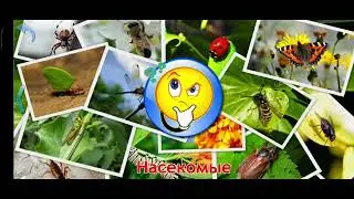 Карточки Домана Часть 5 Насекомые