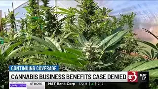Vt. Supreme Court ruling sheds new light on who qualifies for cannabis business benefits