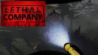This Game is AMAZING... (Lethal Company)