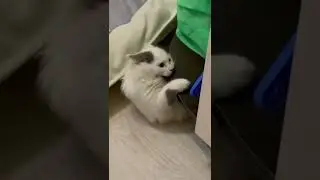 в конце спалил